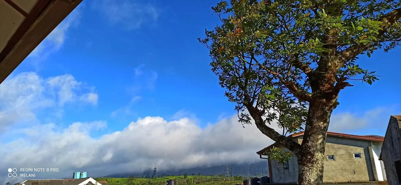 Mount Elegance Villa Nuwara Eliya Holiday home